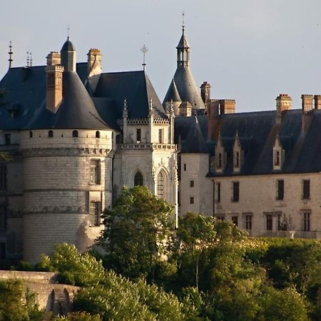 Superbe Appartement - L'Escapade Onzain Extérieur photo