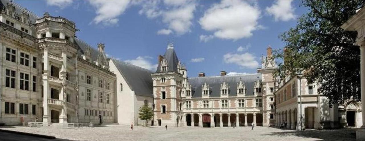 Superbe Appartement - L'Escapade Onzain Extérieur photo